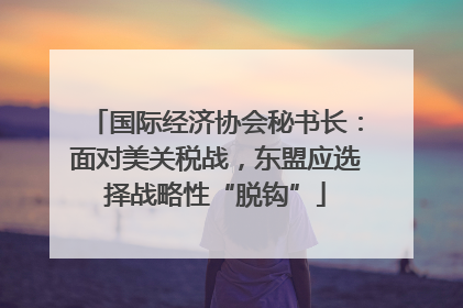 国际经济协会秘书长：面对美关税战，东盟应选择战略性“脱钩”