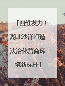 四维发力！湖北沙洋打造法治化营商环境新标杆