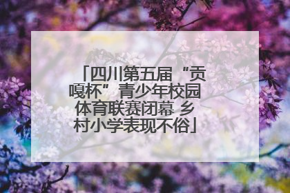 四川第五届“贡嘎杯”青少年校园体育联赛闭幕 乡村小学表现不俗
