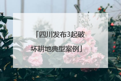 四川发布3起破坏耕地典型案例