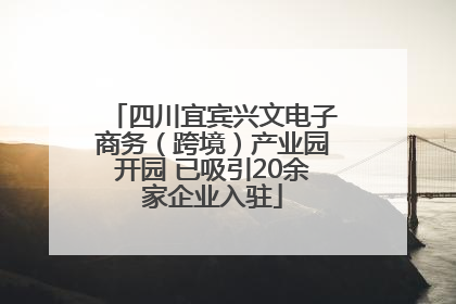 四川宜宾兴文电子商务（跨境）产业园开园 已吸引20余家企业入驻