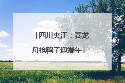 四川夹江：赛龙舟抢鸭子迎端午