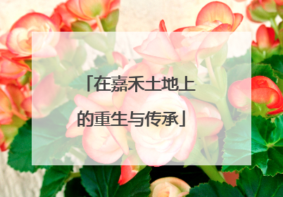 在嘉禾土地上的重生与传承
