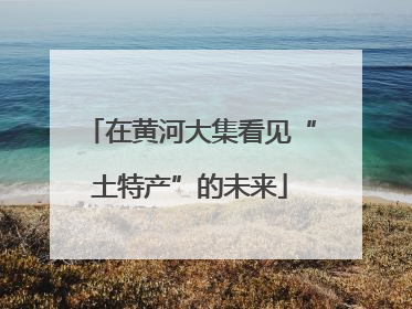 在黄河大集看见“土特产”的未来