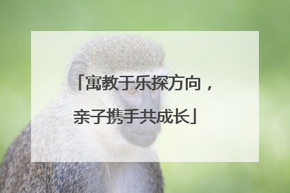 寓教于乐探方向，亲子携手共成长