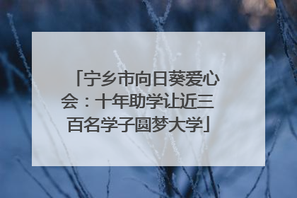 宁乡市向日葵爱心会：十年助学让近三百名学子圆梦大学