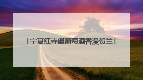宁夏红寺堡葡萄酒香漫贺兰
