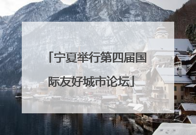 宁夏举行第四届国际友好城市论坛