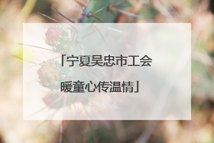 宁夏吴忠市工会暖童心传温情