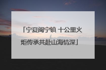 宁夏闽宁镇 十公里火炬传承共赴山海情深