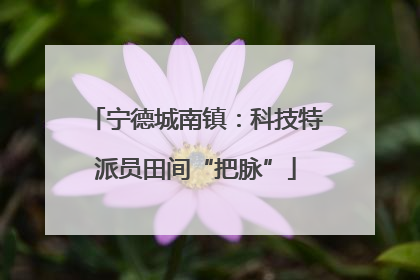 宁德城南镇：科技特派员田间“把脉”