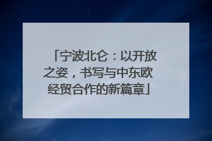 宁波北仑：以开放之姿，书写与中东欧经贸合作的新篇章