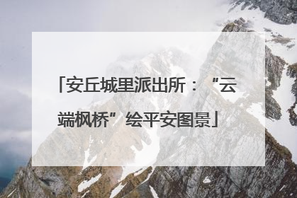 安丘城里派出所：“云端枫桥”绘平安图景