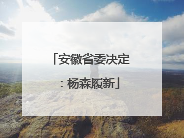 安徽省委决定：杨森履新