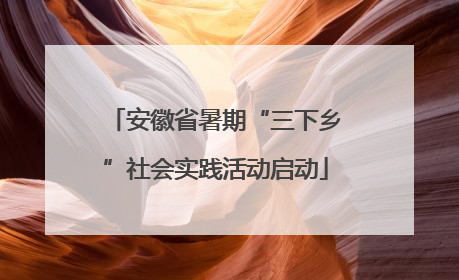 安徽省暑期“三下乡”社会实践活动启动