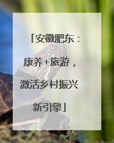 安徽肥东：康养+旅游，激活乡村振兴新引擎