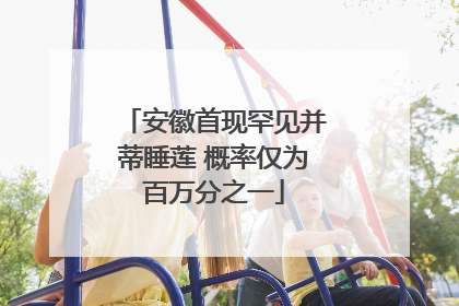 安徽首现罕见并蒂睡莲 概率仅为百万分之一