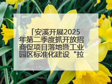 安溪开展2025年第二季度抓开放招商促项目落地暨工业园区标准化建设“拉练”活动