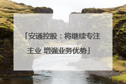安通控股：将继续专注主业 增强业务优势