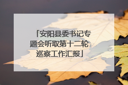 安阳县委书记专题会听取第十二轮巡察工作汇报