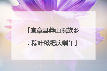 宜章县莽山瑶族乡：粽叶糍粑庆端午