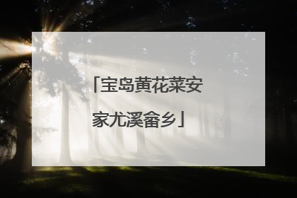 宝岛黄花菜安家尤溪畲乡