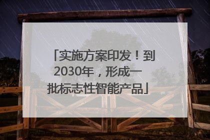 实施方案印发！到2030年，形成一批标志性智能产品