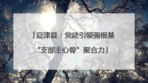 夏津县：党建引领强根基 “支部主心骨”聚合力