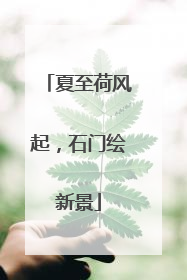 夏至荷风起，石门绘新景
