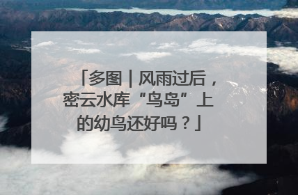 多图｜风雨过后，密云水库“鸟岛”上的幼鸟还好吗？
