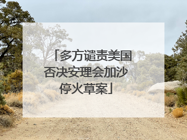 多方谴责美国否决安理会加沙停火草案