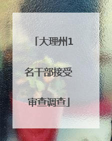 大理州1名干部接受审查调查