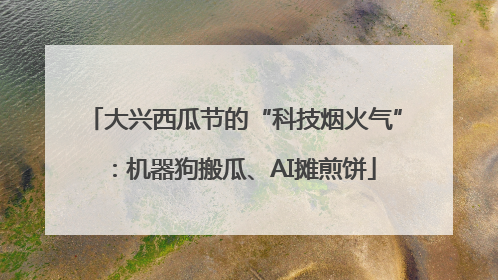 大兴西瓜节的“科技烟火气”：机器狗搬瓜、AI摊煎饼