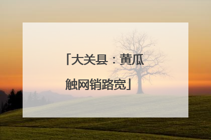 大关县：黄瓜触网销路宽