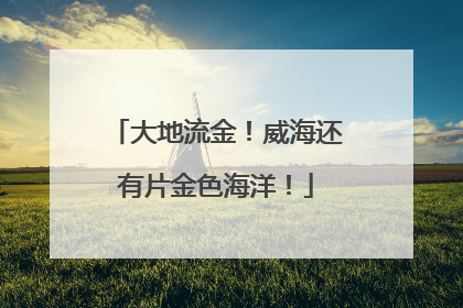 大地流金！威海还有片金色海洋！