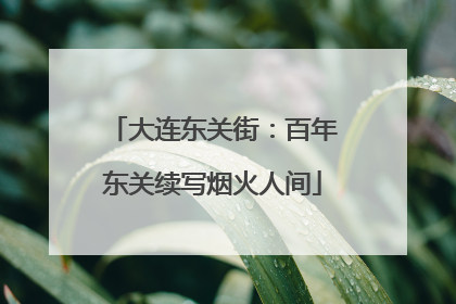 大连东关街：百年东关续写烟火人间