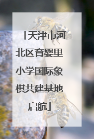 天津市河北区育婴里小学国际象棋共建基地启航