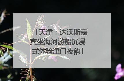 天津：达沃斯嘉宾坐海河游船沉浸式体验津门夜韵