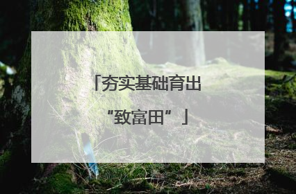 夯实基础育出“致富田”