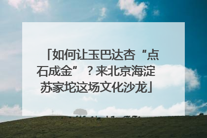 如何让玉巴达杏“点石成金”？来北京海淀苏家坨这场文化沙龙