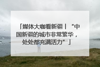 媒体大咖看新疆丨“中国新疆的城市非常繁华，处处都充满活力”