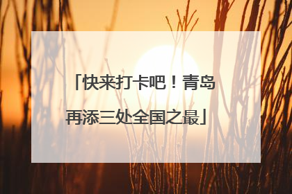 快来打卡吧！青岛再添三处全国之最