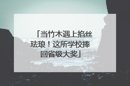 当竹木遇上掐丝珐琅！这所学校捧回省级大奖