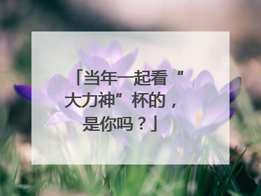 当年一起看“大力神”杯的，是你吗？