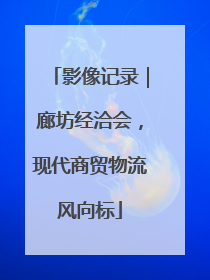 影像记录｜廊坊经洽会，现代商贸物流风向标
