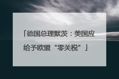 德国总理默茨：美国应给予欧盟“零关税”