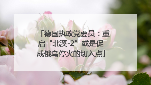 德国执政党要员：重启“北溪-2”或是促成俄乌停火的切入点