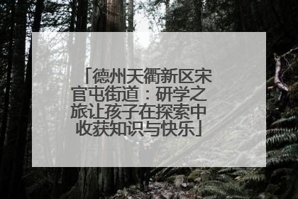 德州天衢新区宋官屯街道：研学之旅让孩子在探索中收获知识与快乐