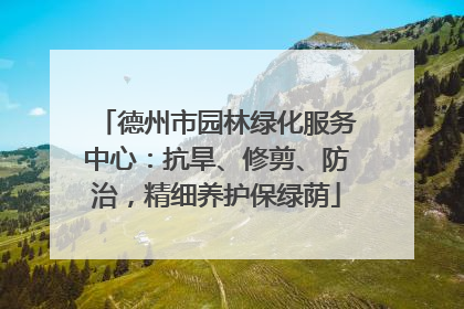 德州市园林绿化服务中心：抗旱、修剪、防治，精细养护保绿荫
