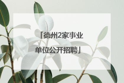 德州2家事业单位公开招聘